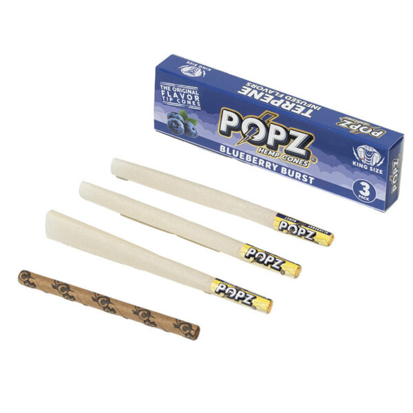 Display Popz Hemp Cones Blueberry Burst (12cajas/display-3ud/caja)