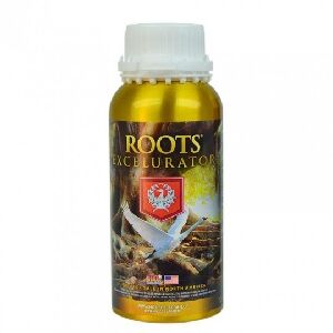 House & Garden Roots Excelurator Gold